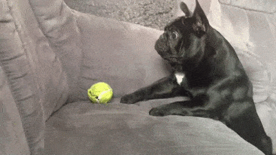 1665489514000.gif
