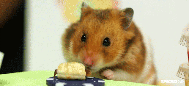 1666142019340.gif