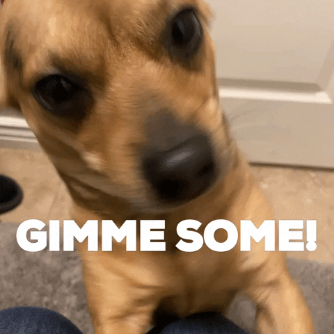 1666188210601.gif