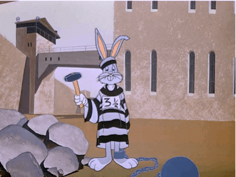 1666301564609.gif