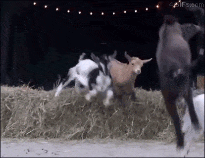 1666918939505.gif