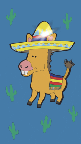 1667051662766.gif