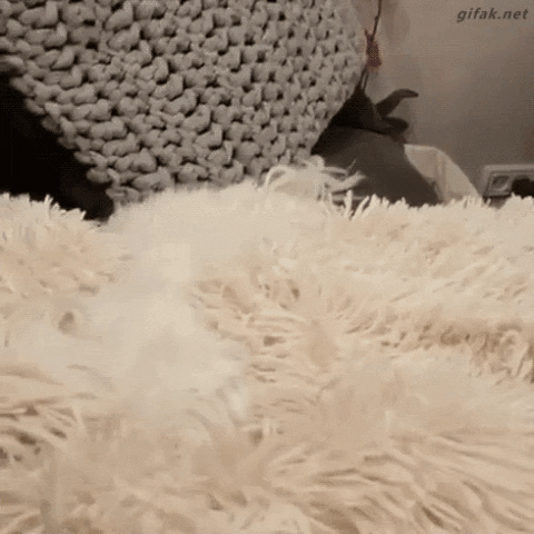 1667576179985.gif