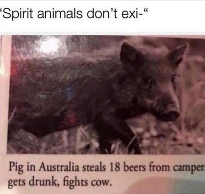1668903298639.png