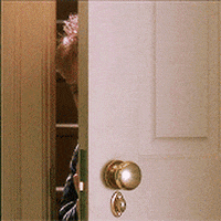 1670647987667.gif