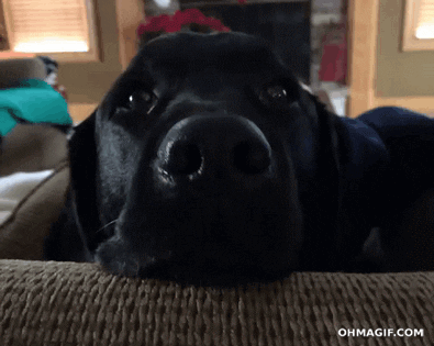 1671500166988.gif
