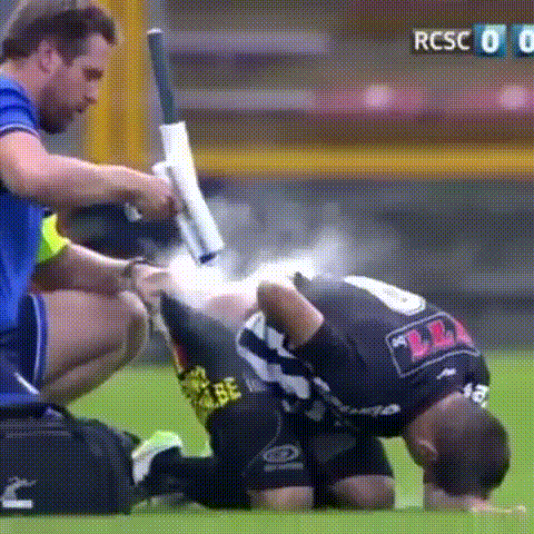 1675491165566.gif
