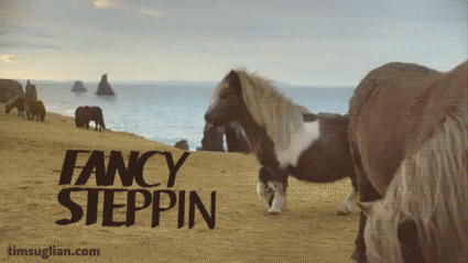 1676637259197.gif