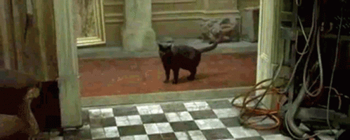 1676942082983.gif
