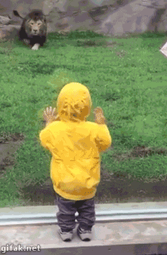 16790AD3-7025-4FAC-8811-F2FE28B51D2D.gif