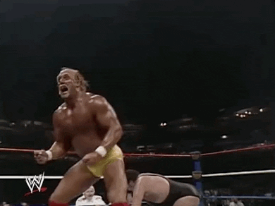 1681773785310.gif