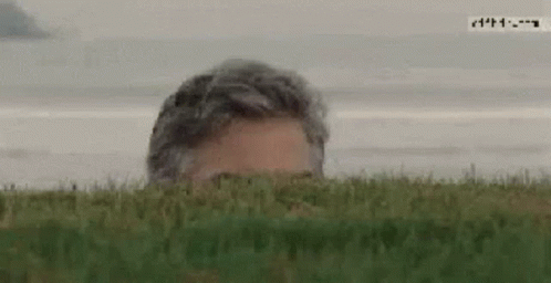 1681860420572.gif