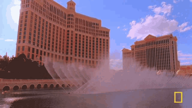 1683333153184.gif