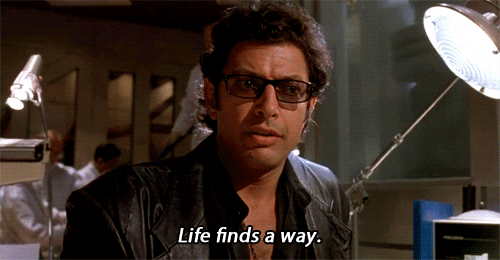 1684429430134.gif