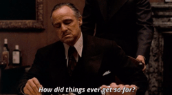 1684508507472.gif