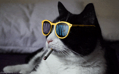 1684605472443.gif