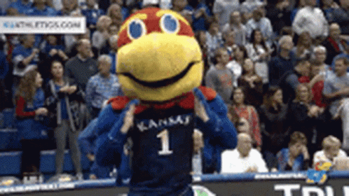 1685185854104.gif