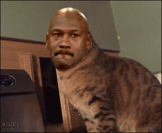 1689001490410.gif