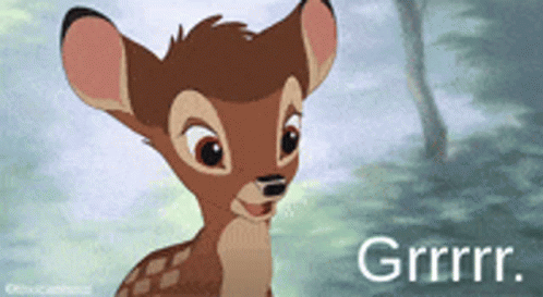 1691862790297.gif