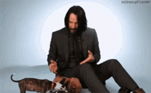 1692758443339.gif