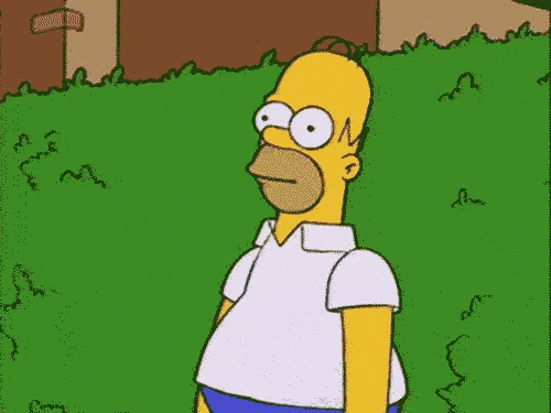 1698941157407.gif