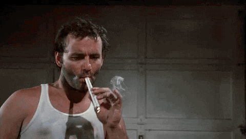 1706769347954.gif