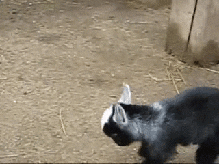 1707514456744.gif