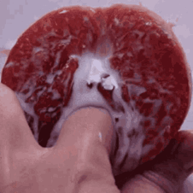 1709390383279.gif