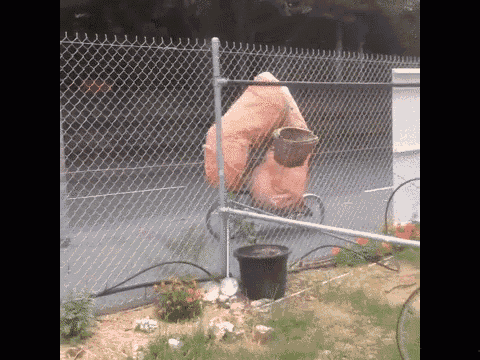 1710272280393.gif
