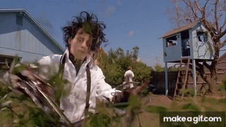 1711138968478.gif