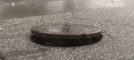 1711939810902.gif