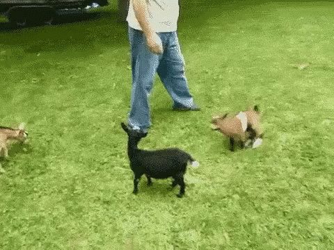 1712512898239.gif
