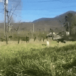 1712719408498.gif