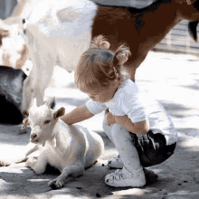 1712853590671.gif