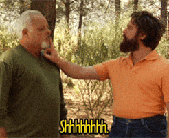 1729285135901.gif