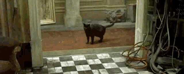 1730510791333.gif