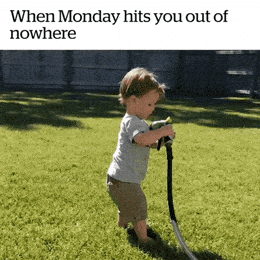 1730720015595.gif