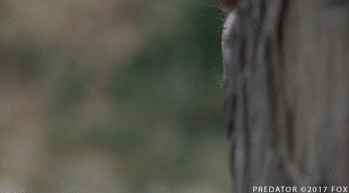 1732056127324.gif