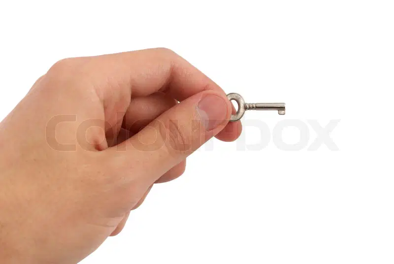 1738680932622.png