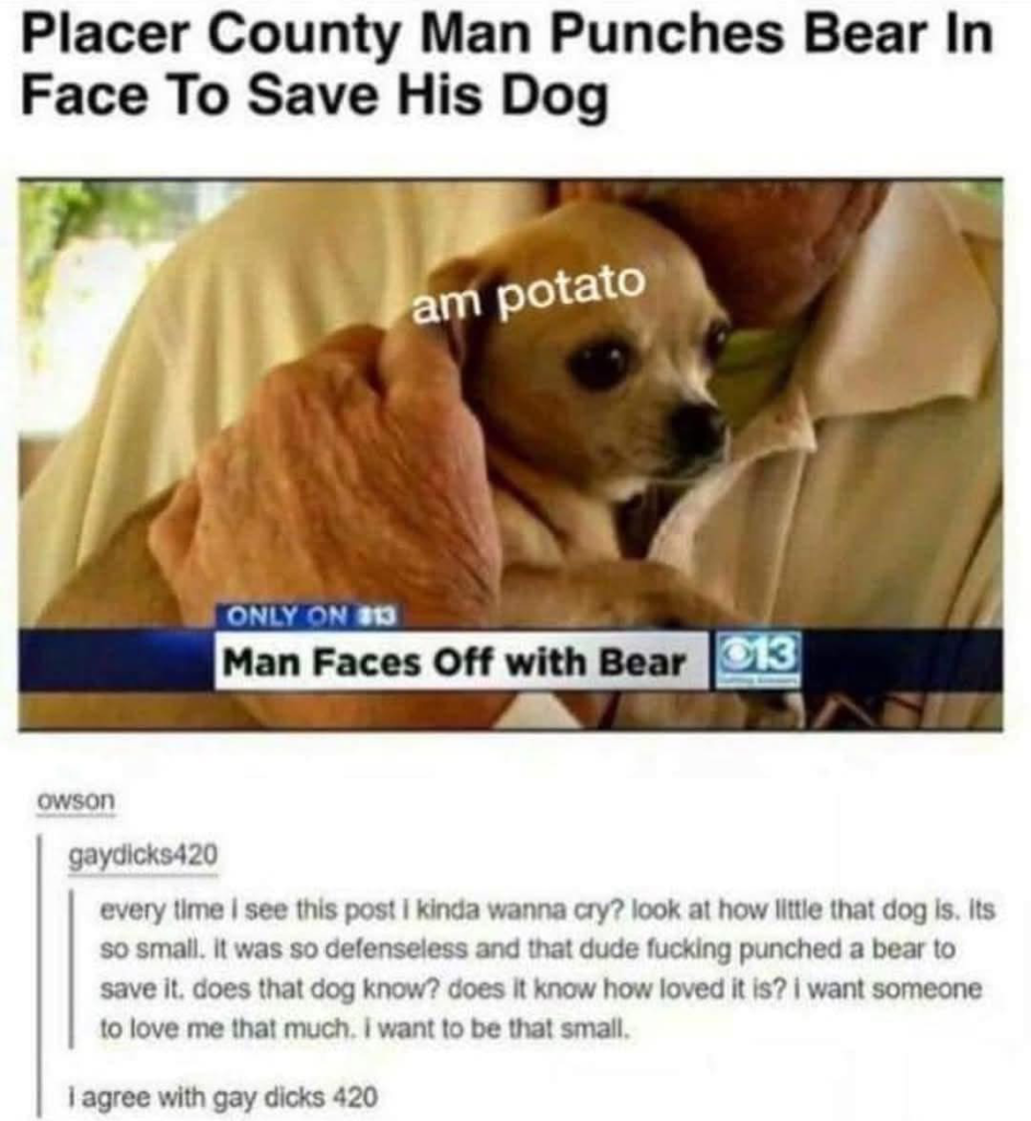 1739894826897.png