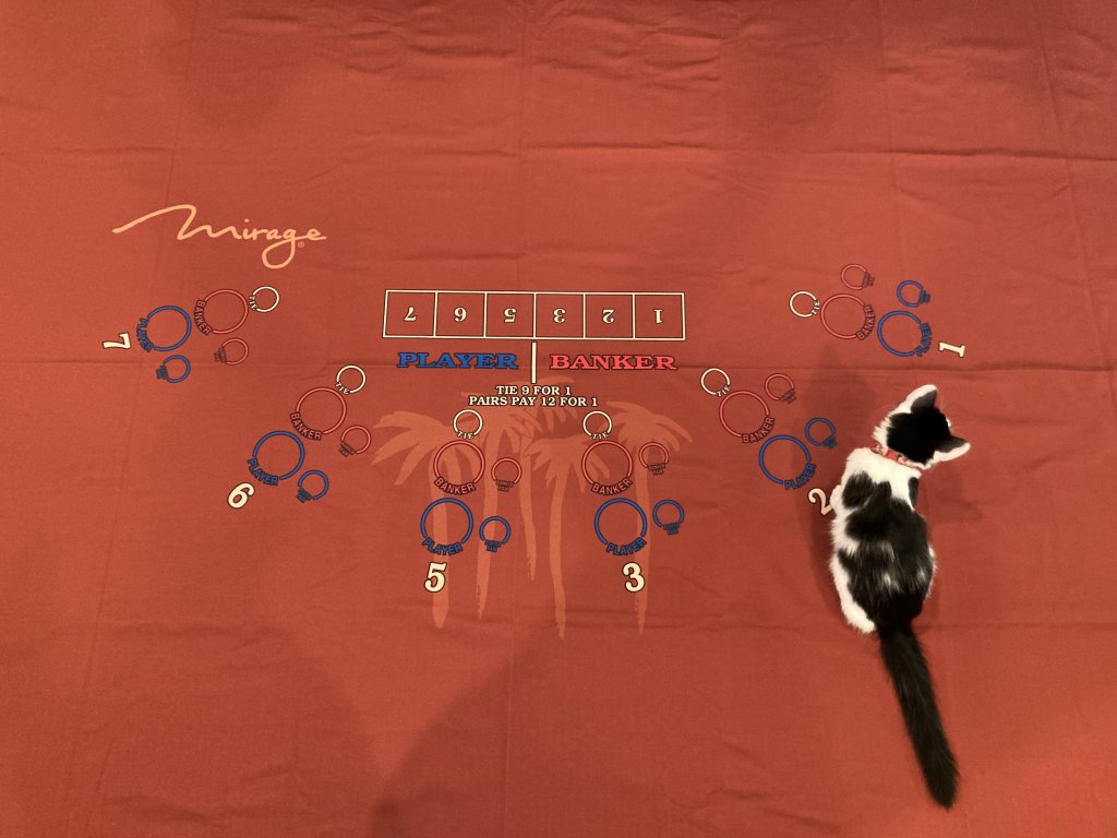 1741389258696.jpeg