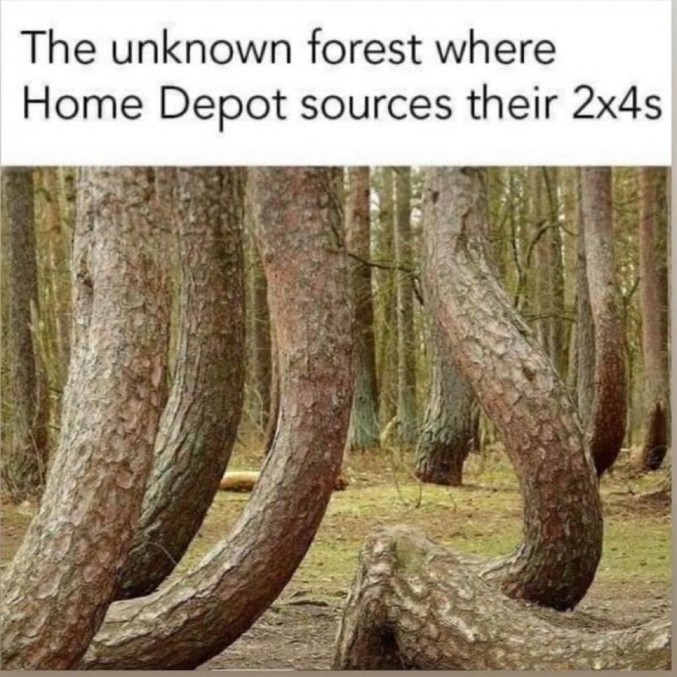 1745126598802.png