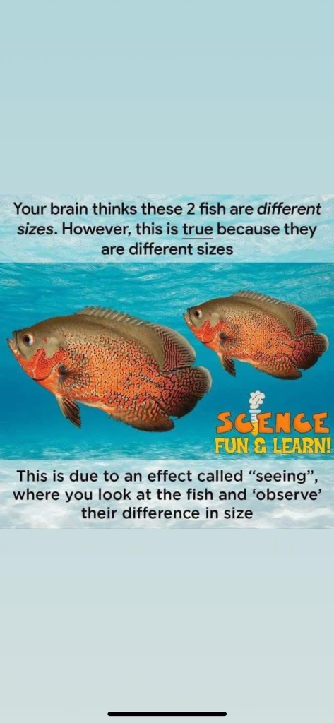 1745275723781.png