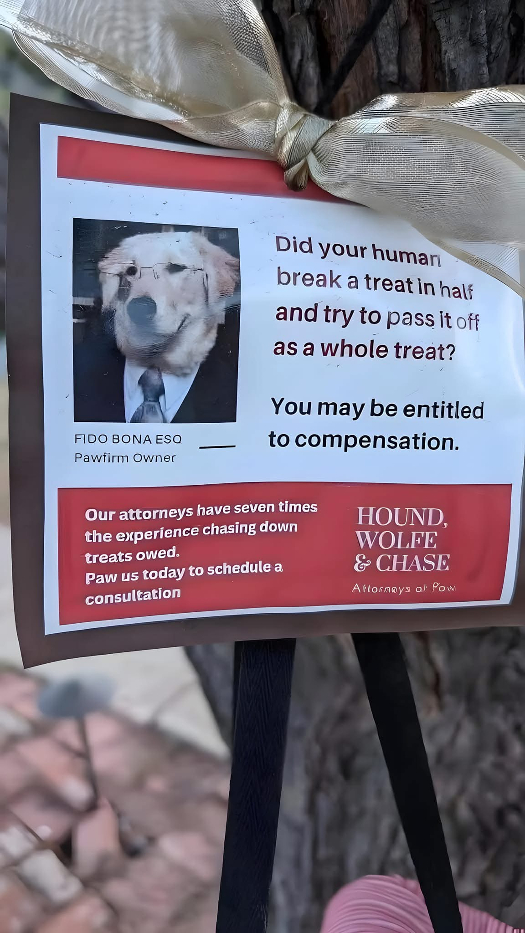 1747509663209.jpeg