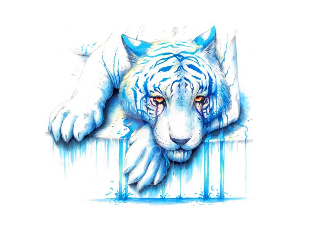 1751753221537.png