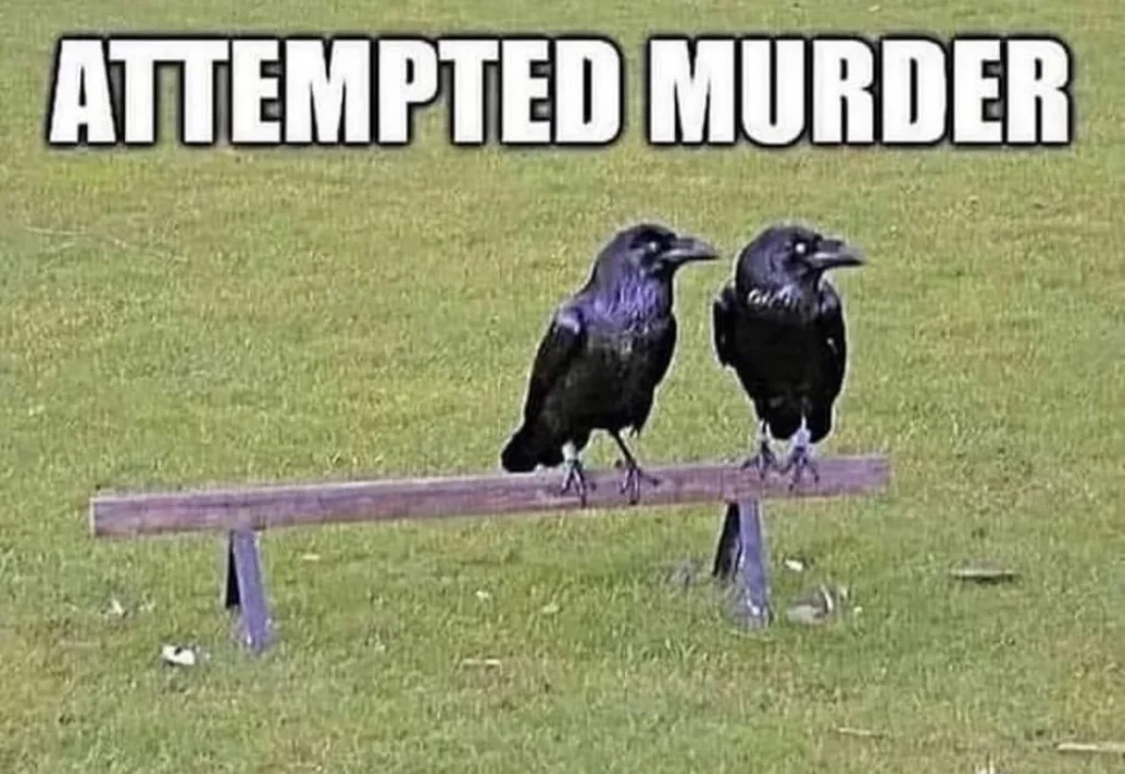 1753693315774.webp