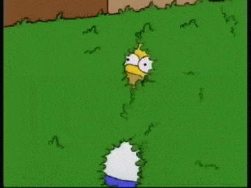 1753929886816.gif
