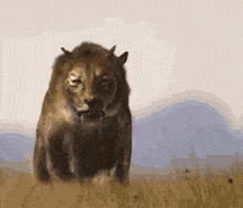 1756206819893.gif