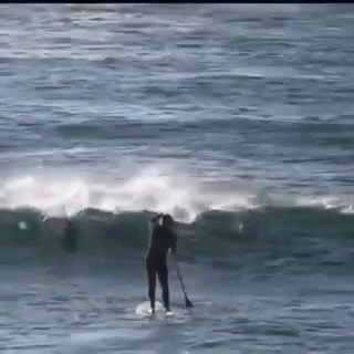 1761176162205.gif
