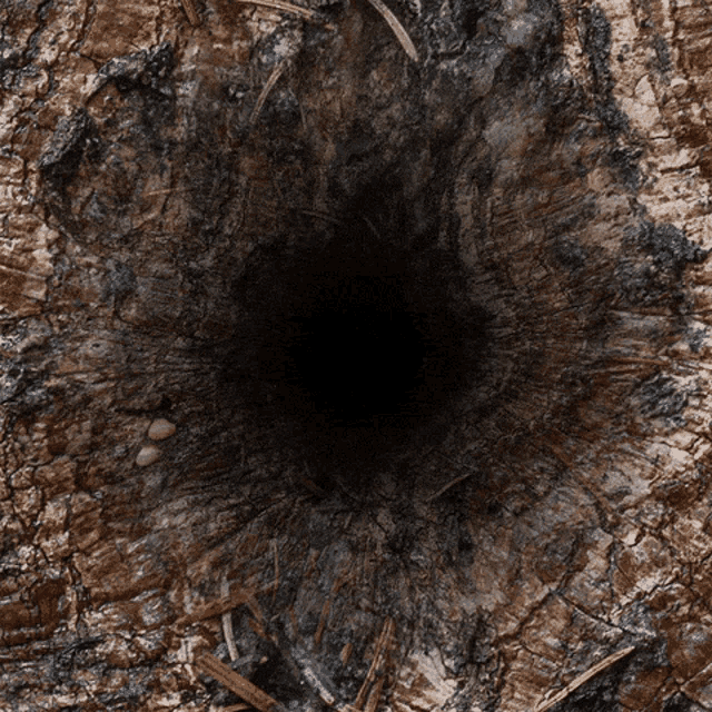 1761384192905.gif
